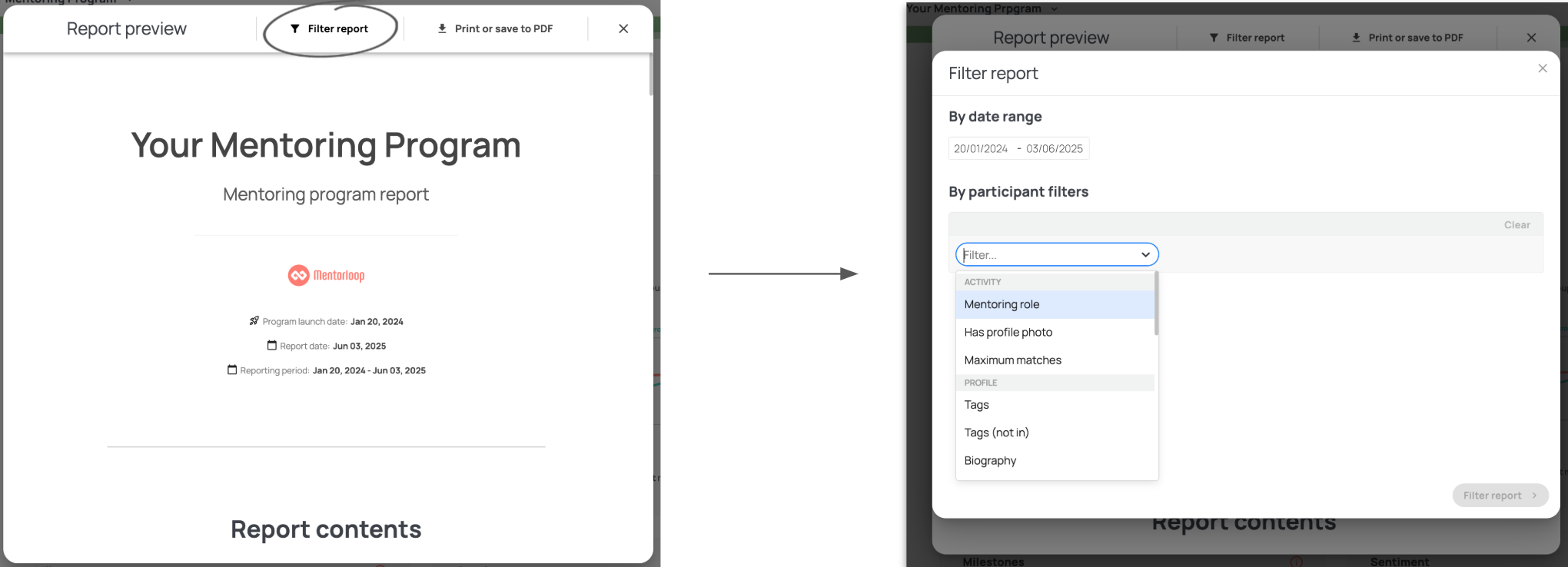 Filtering the PDF report